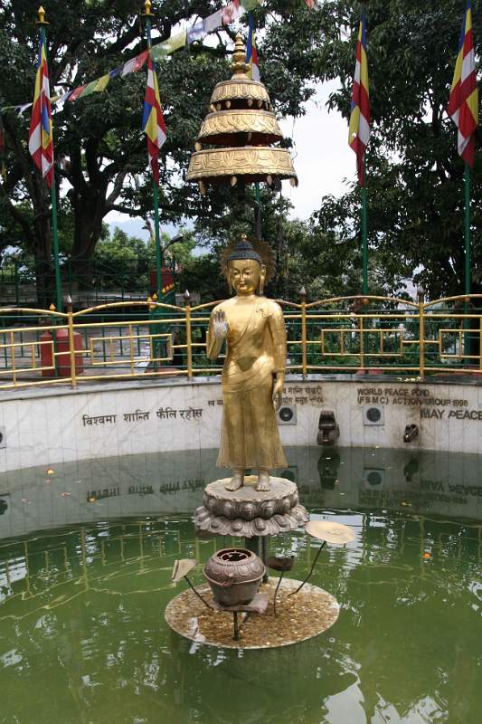 India & Nepal 2011 - 0373